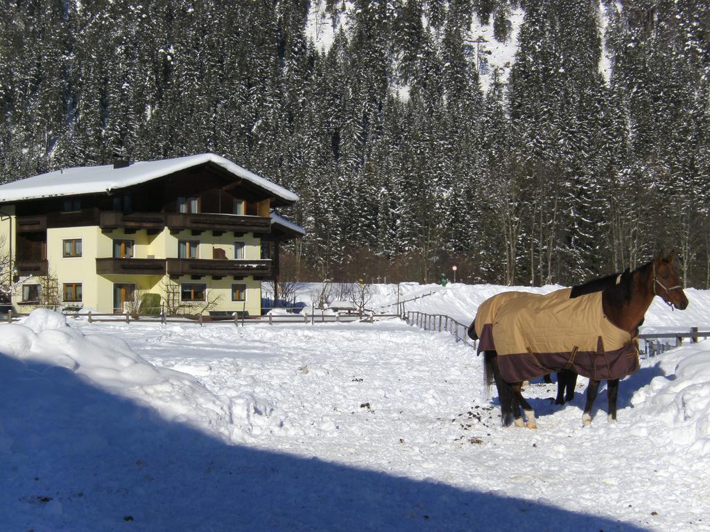 Pension Foidl Вайдринг Екстер'єр фото
